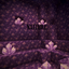 NATTURE logo