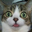 CatCore logo