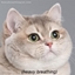 Tooltip GCD display project image