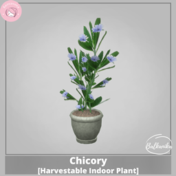 Chicory [Harvestable Indoor Plant] logo