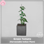 Green Tomato [Harvestable Indoor Plant] logo
