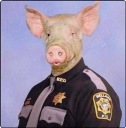 GTA/Prison Cops! project image