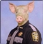 GTA/Prison Cops! logo