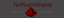 NoPluginDisplay logo