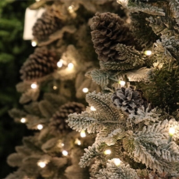 Christmas with the boys 2022