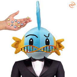 Perfect Starters project image