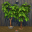 Cacao Harvestable & Plant logo