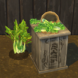 Celery Harvestable & Plant