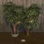 Orange Harvestable & Plant logo