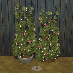Raspberry Harvestable & Plant