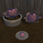 Red Cabbage Harvestable & Plant logo
