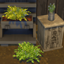 Thyme Harvestable & Plant logo