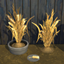 Wheat Harvestable & Plant logo