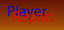 PlayerReport logo