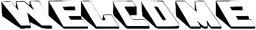 The Welcomer logo