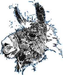 llama logo