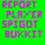 Report Player logo