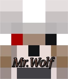 Mr.wolf