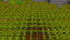 EasyCrops logo