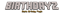 Birthdayz logo