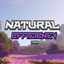 Natural Efficiency logo