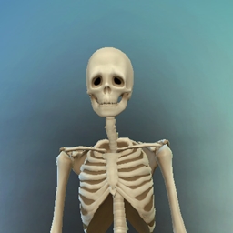 Skeleton Outfit Unlocked, Trait cloned logo
