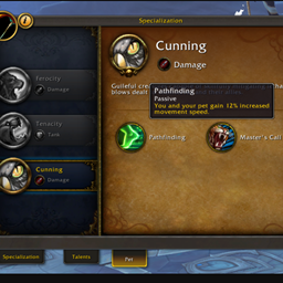 DF Pet Specialization Tab project image