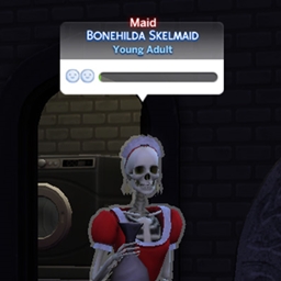 NPC Maid Career logo