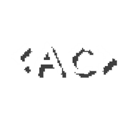 Anonymous Chat logo
