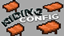 RidingConfig  logo
