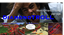 DiamondTROLL logo