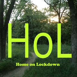 HoL2 project image