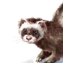 Ferreto!