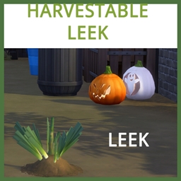 Harvestable Leek