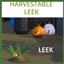 Harvestable Leek logo