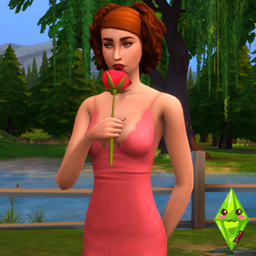 A rose for you