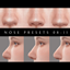 Female Nose Presets logo