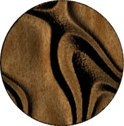 Space logo