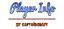 Player Info logo