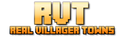 Real Villager Towns project image