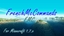 FrenchMcCommands (FMC) logo