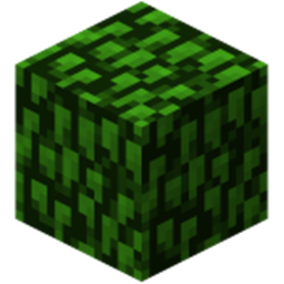 NoLeafDecay
