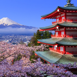 Blossom Empire