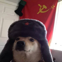 Russian Doggo's Stuffs