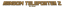 RandomPlayerTeleporterZ logo