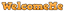 WelcomeMe logo