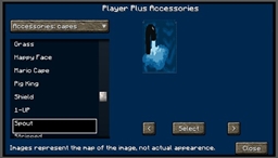 PlayerPlus logo
