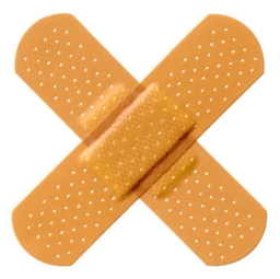 Healer logo
