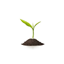 Sprout Smp logo