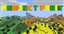 Project Fruit logo